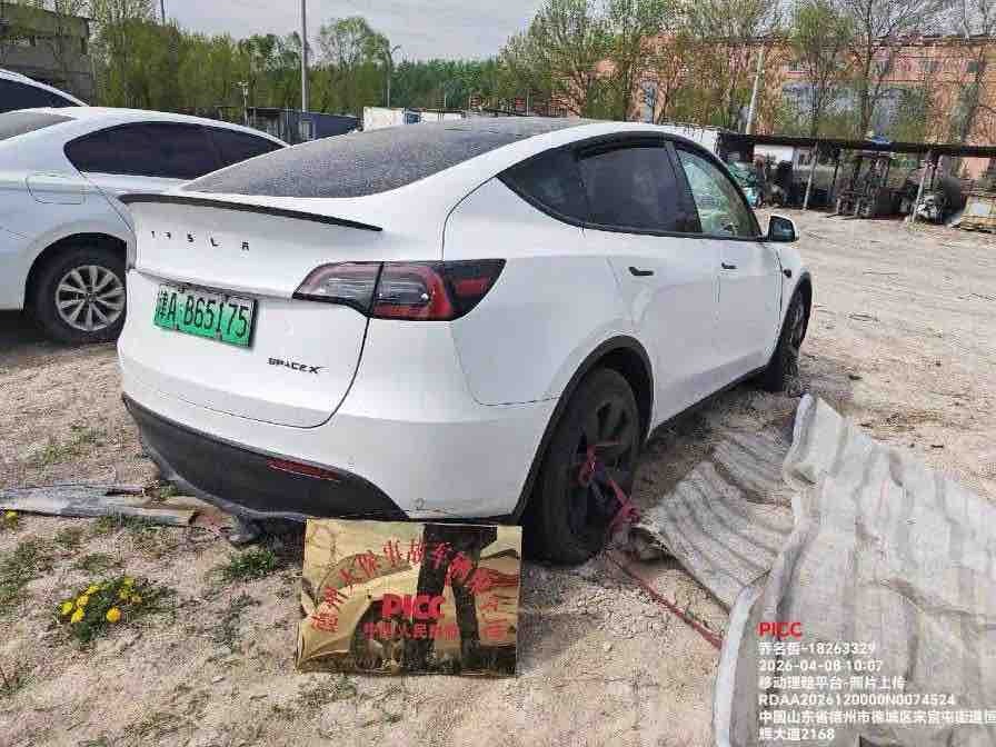 Tesla Model Y 2021 car image #11
