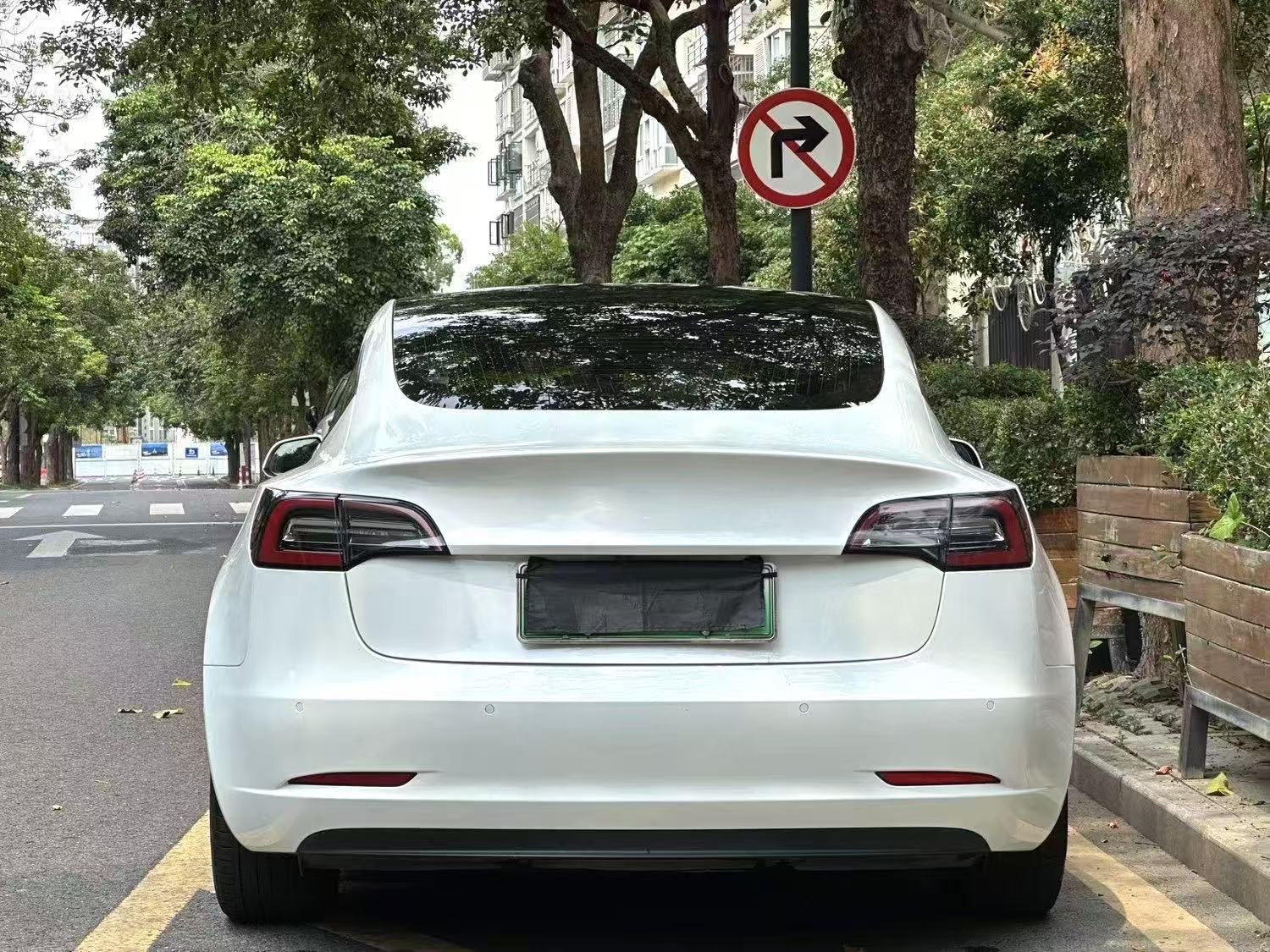 Tesla Model 3 (Imported) 2019 #4 Tesla Model 3 (Imported) 2019 car image #4