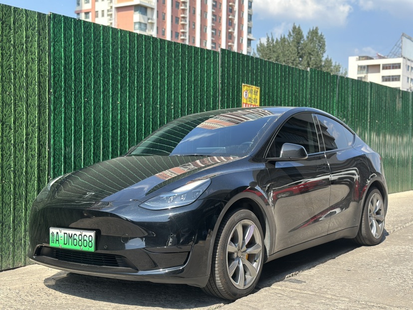 Tesla Model Y 2022 car image 