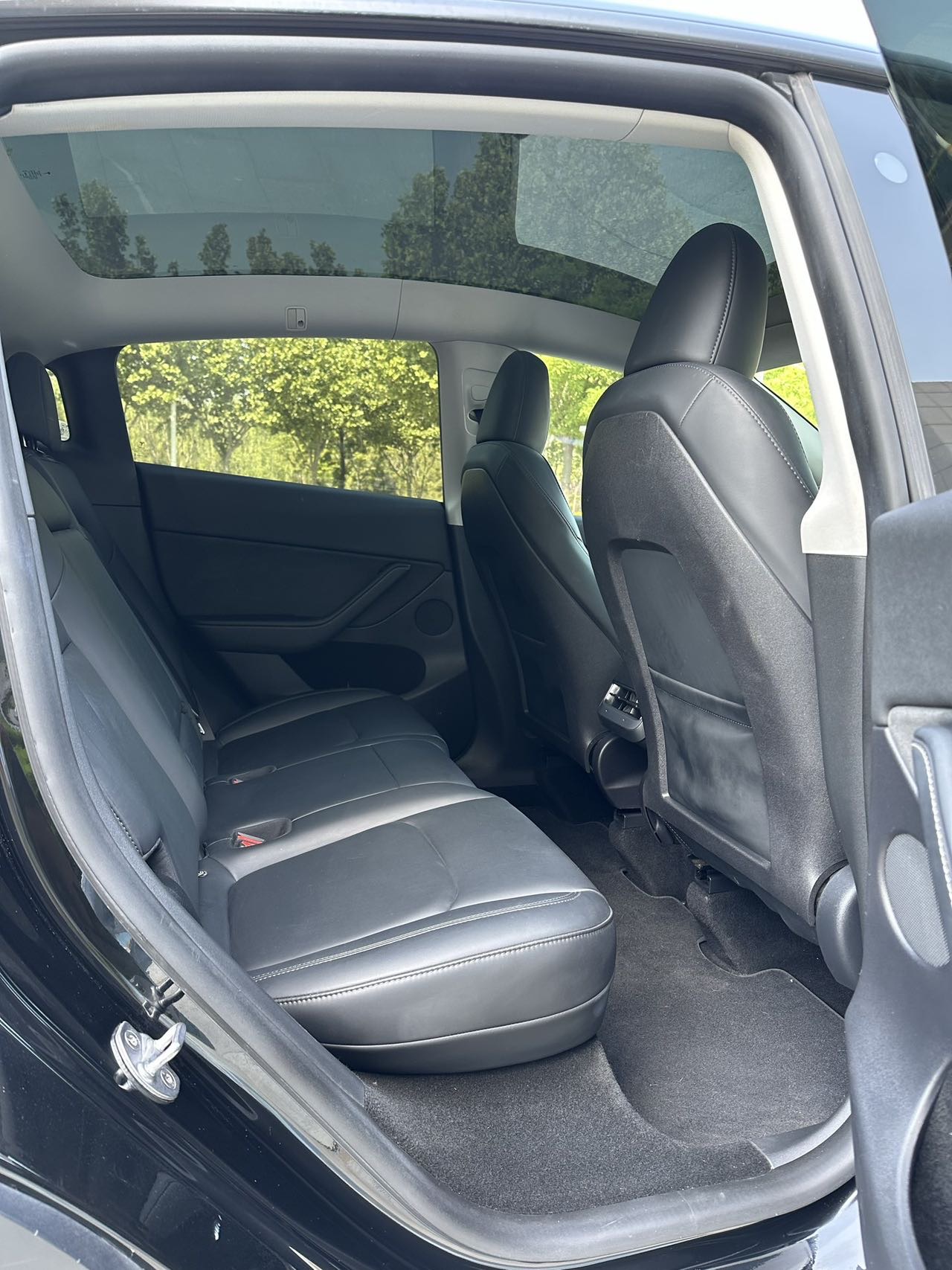 Tesla Model Y 2023 #8 Tesla Model Y 2023 car image #8