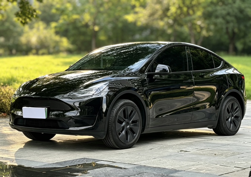 Tesla Model Y 2023 Tesla Model Y 2023 car image