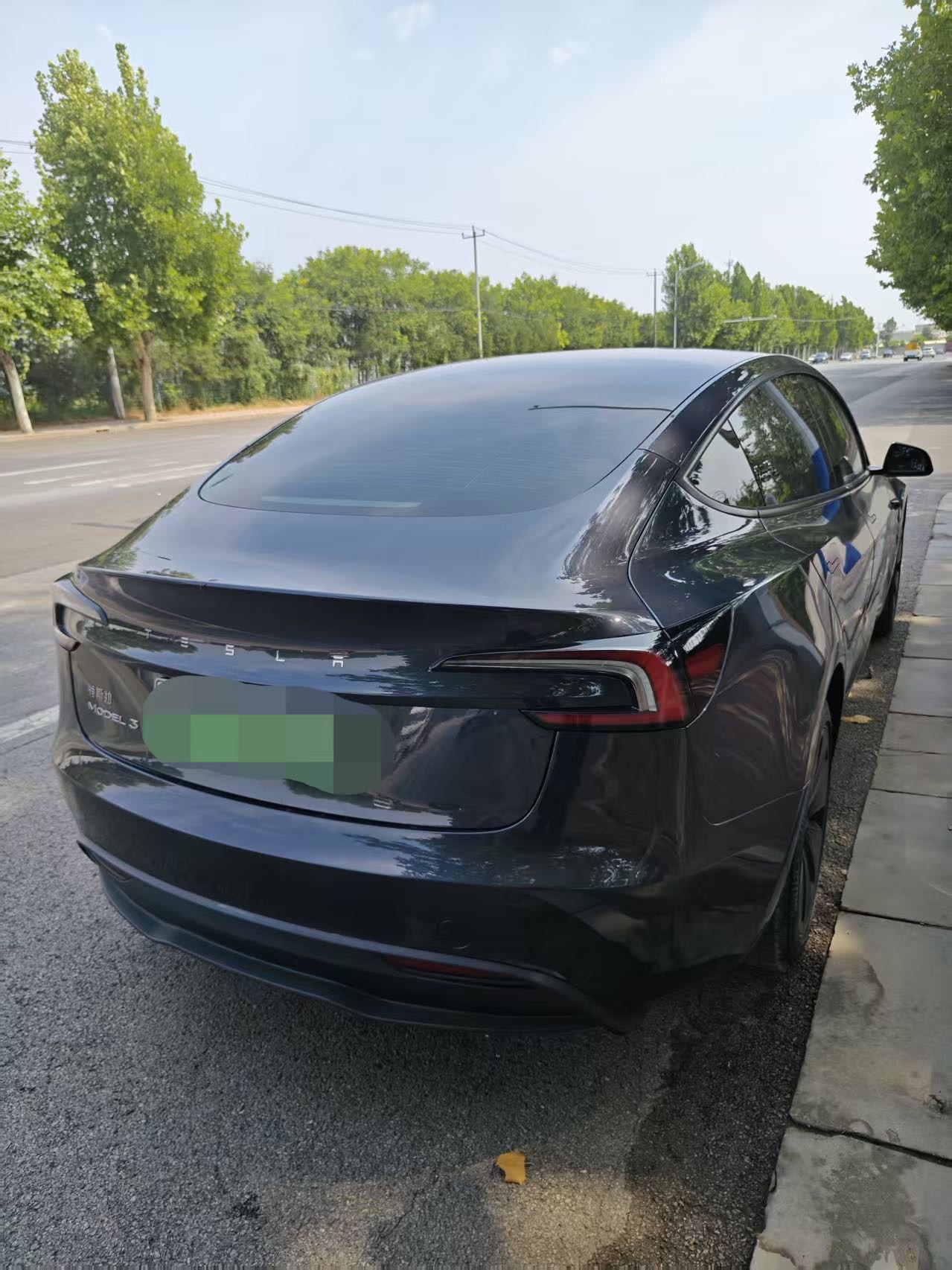 Tesla Model 3 2026 #5 Tesla Model 3 2026 car image #5