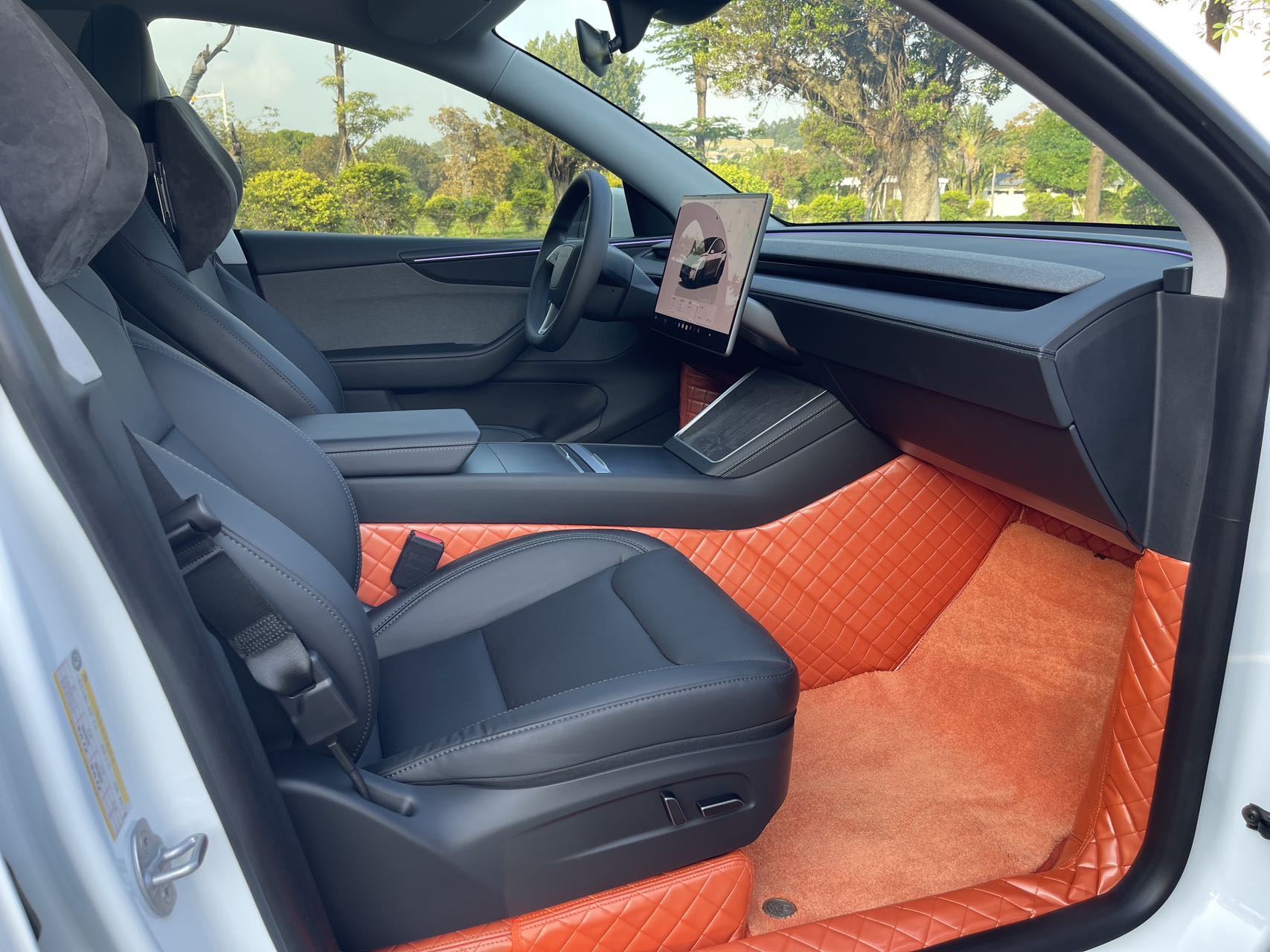 Tesla Model Y 2025 car image #6