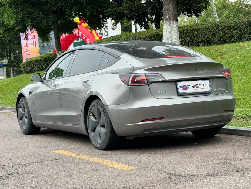 Tesla Model 3 2020 #2 Tesla Model 3 2020 car image #2