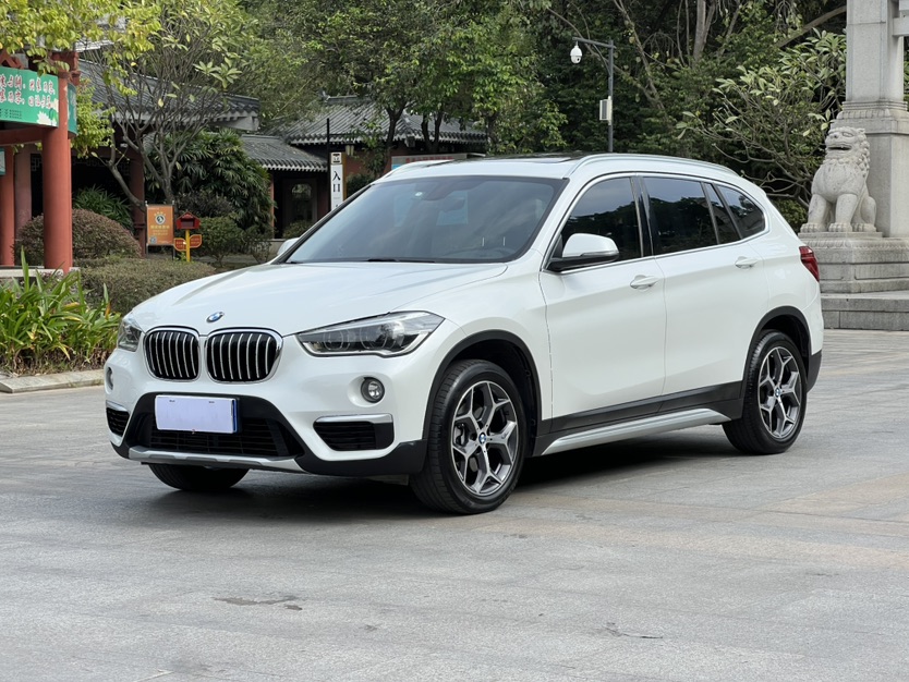 BMW X1 2019 car image 