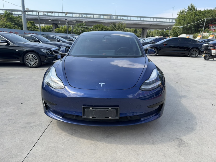Tesla Model 3 2020 Tesla Model 3 2020 car image