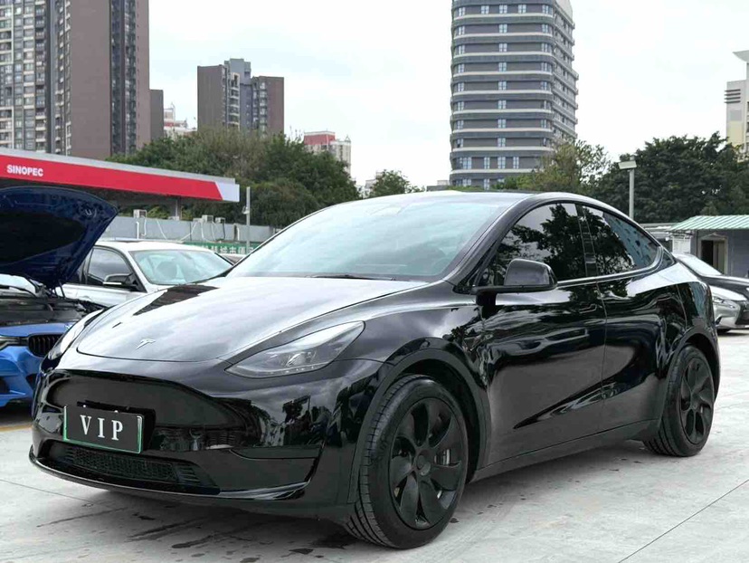 Tesla Model Y 2023 car image 