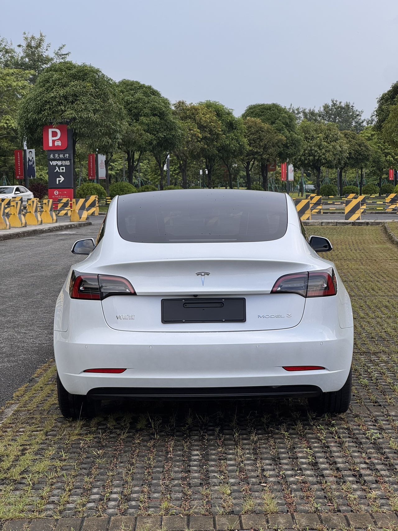 Tesla Model 3 2021 #5 Tesla Model 3 2021 immagine di auto #5