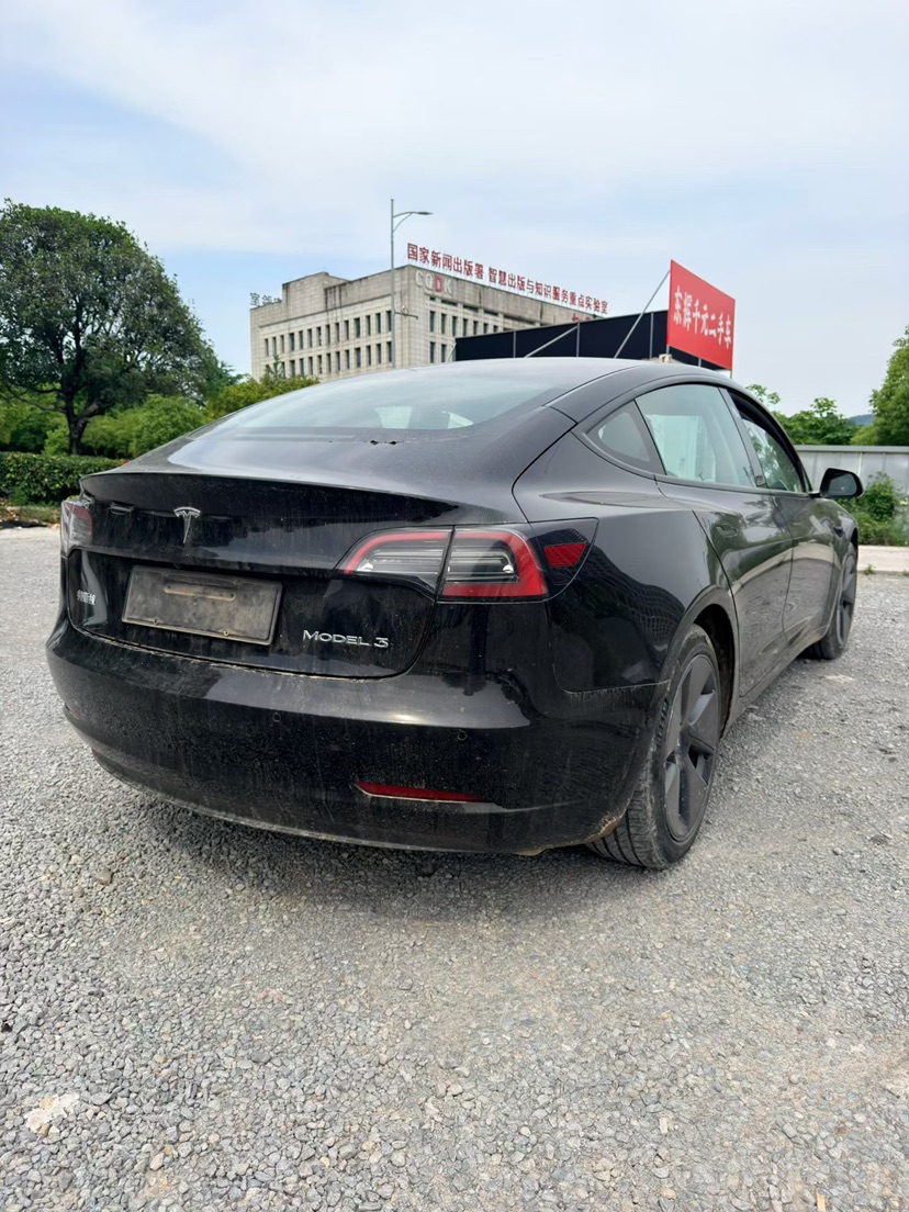 Tesla Model 3 2023 immagine di auto #3
