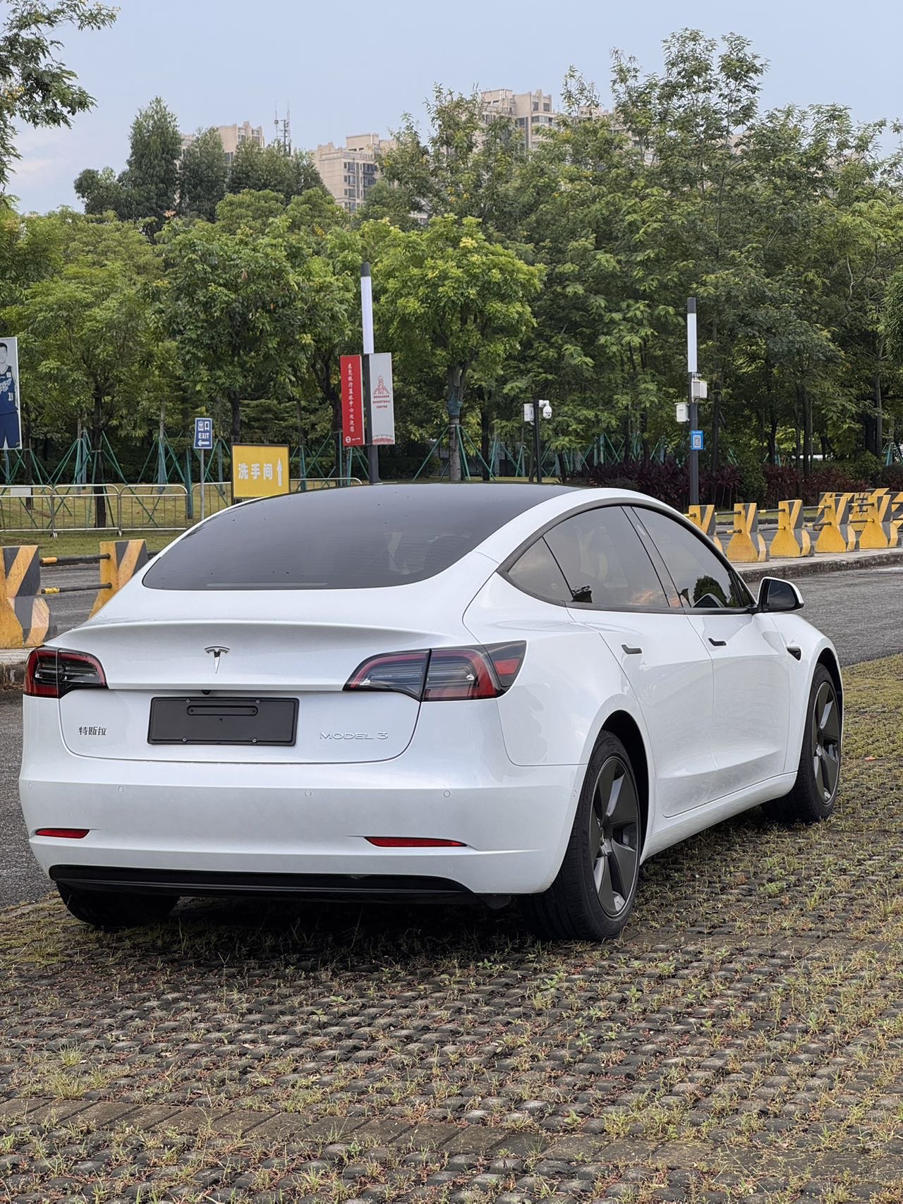Tesla Model 3 2021 #4 Tesla Model 3 2021 immagine di auto #4