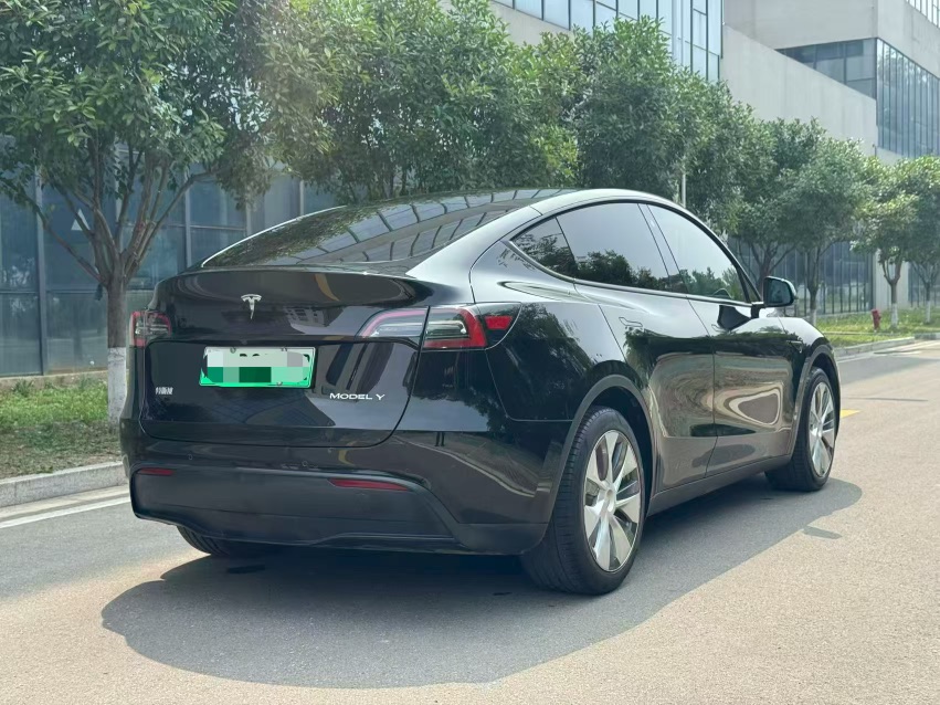 Tesla Model Y 2023 car image #6