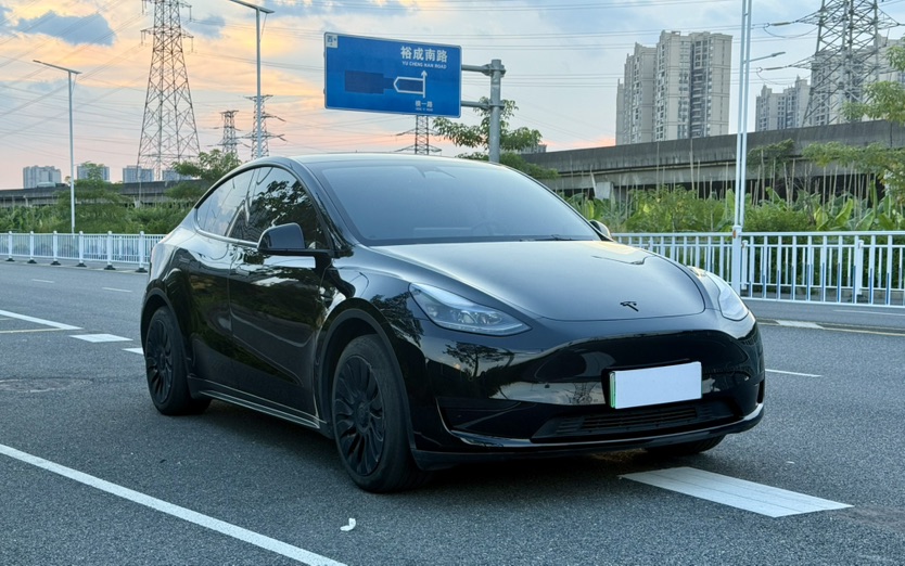 Tesla Model Y 2023 #3 Tesla Model Y 2023 car image #3