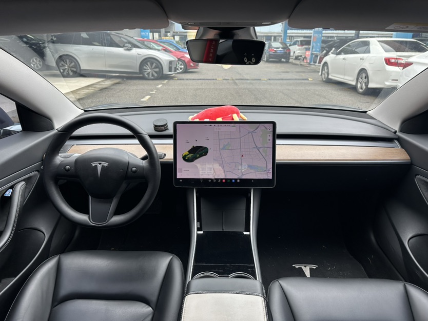 Tesla Model 3 2020 #5 Tesla Model 3 2020 car image #5