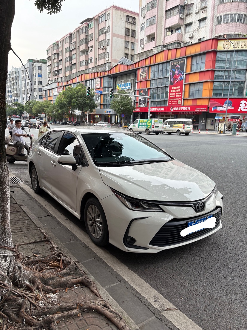 Toyota Corolla 2022 car image #2