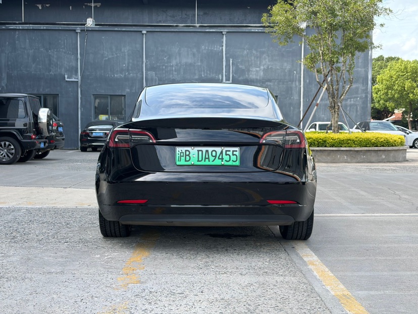 Tesla Model 3 2021 car image #4