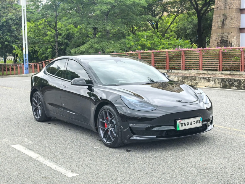 Tesla Model 3 2021 car image #3