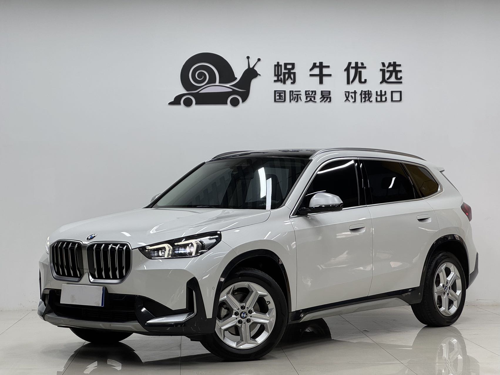 BMW X1 2023 car image 