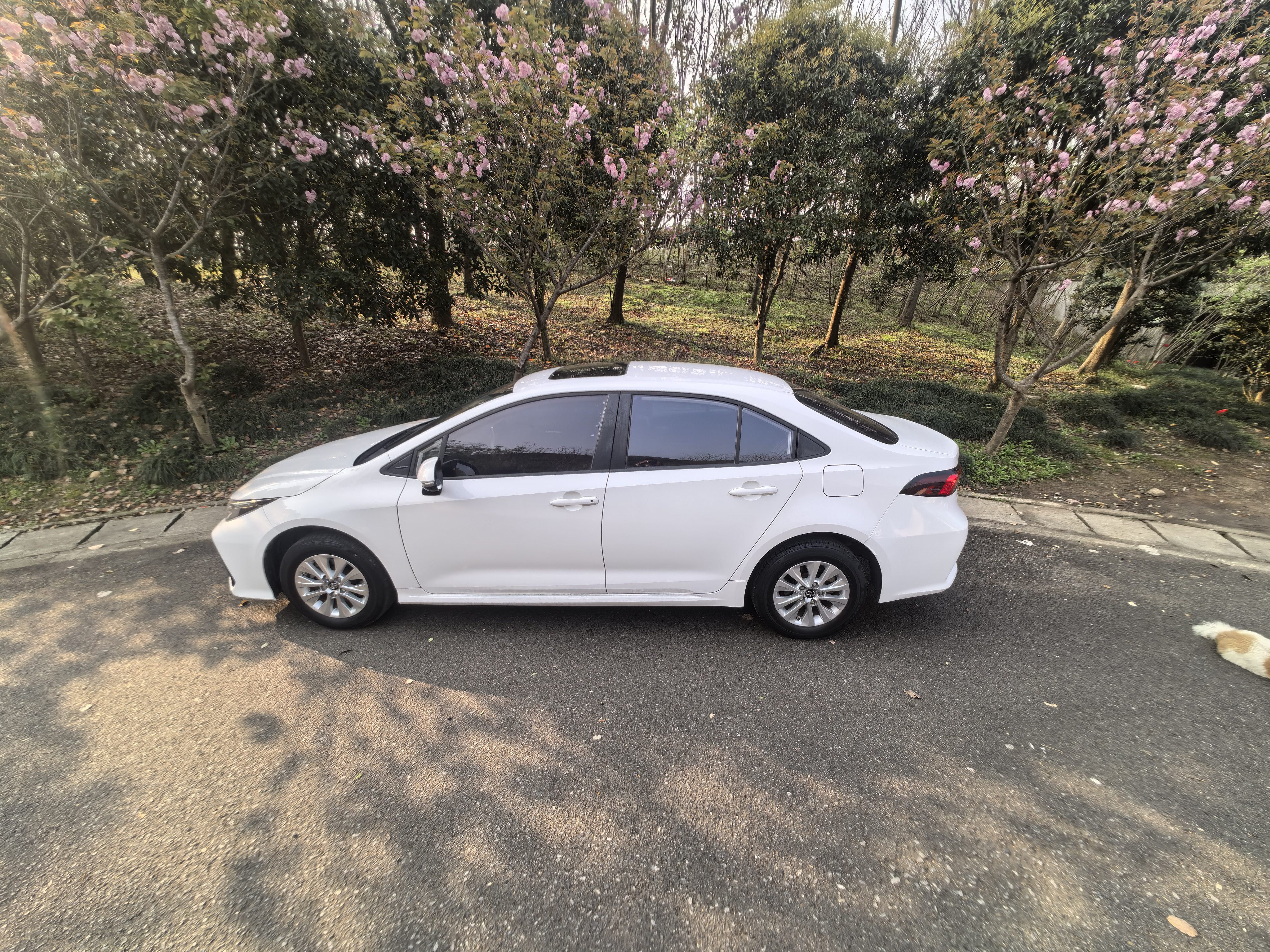 Toyota Corolla 2020 car image #3