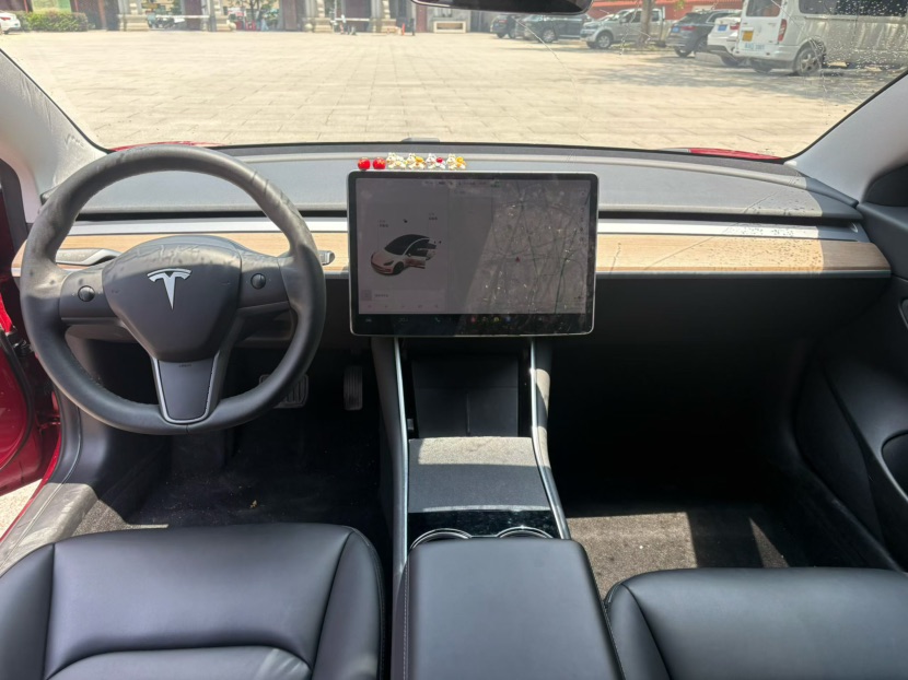 Tesla Model 3 2021 car image #6