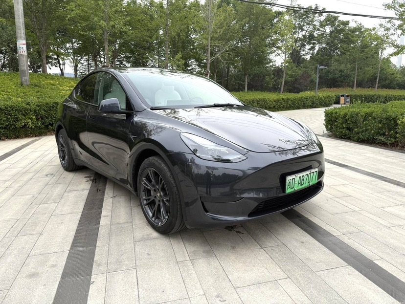 Tesla Model Y 2025 #3 Tesla Model Y 2025 immagine di auto #3