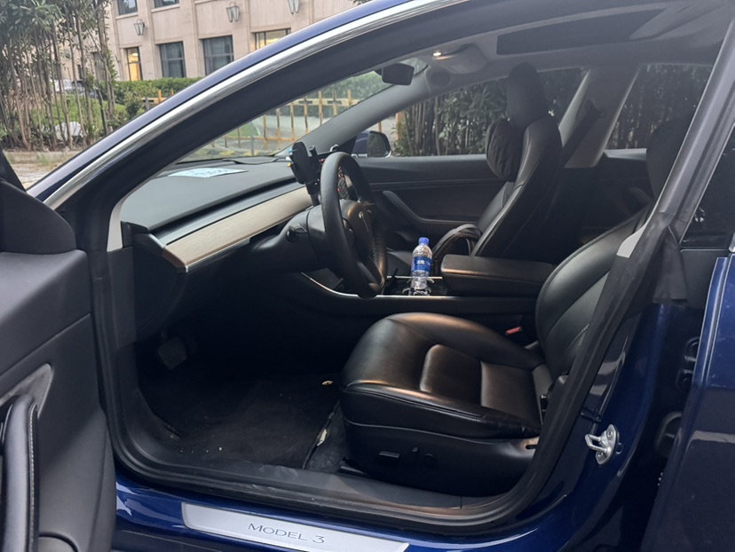 Tesla Model 3 2020 imagem de carro #4