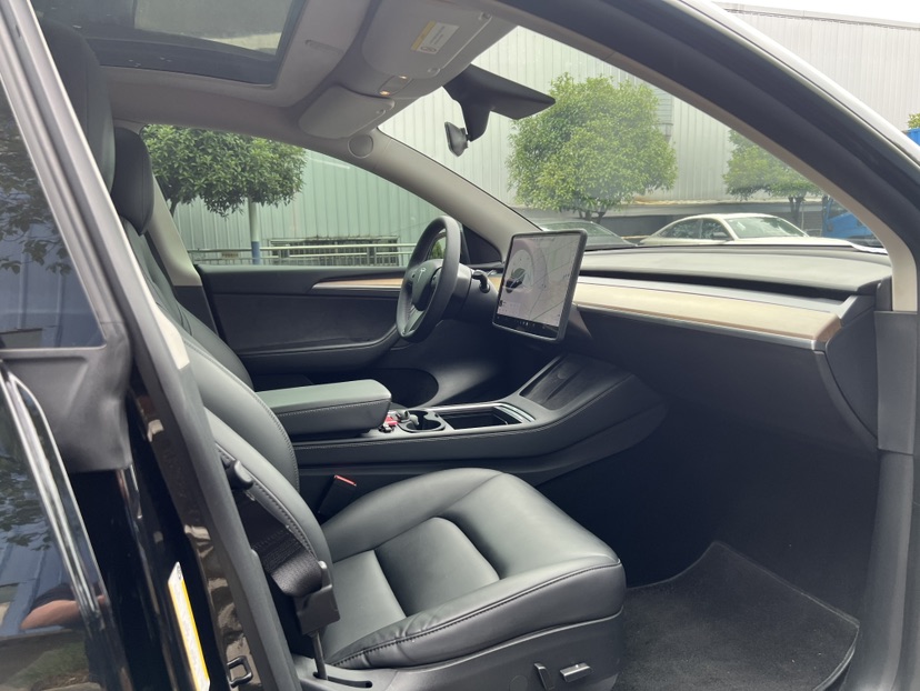 Tesla Model Y 2021 car image #4