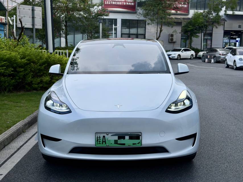 Tesla Model Y 2024 car image 