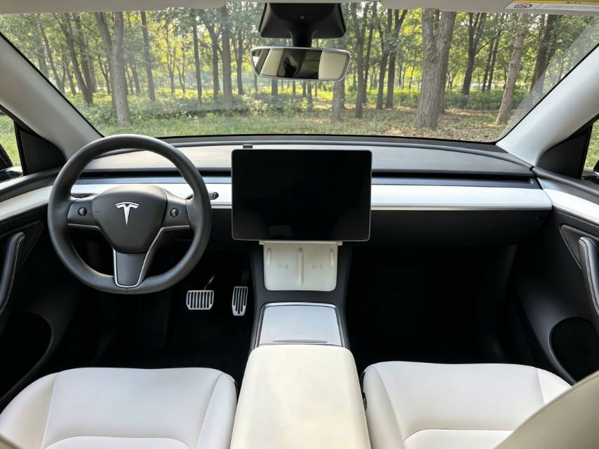 Tesla Model Y 2023 car image #12