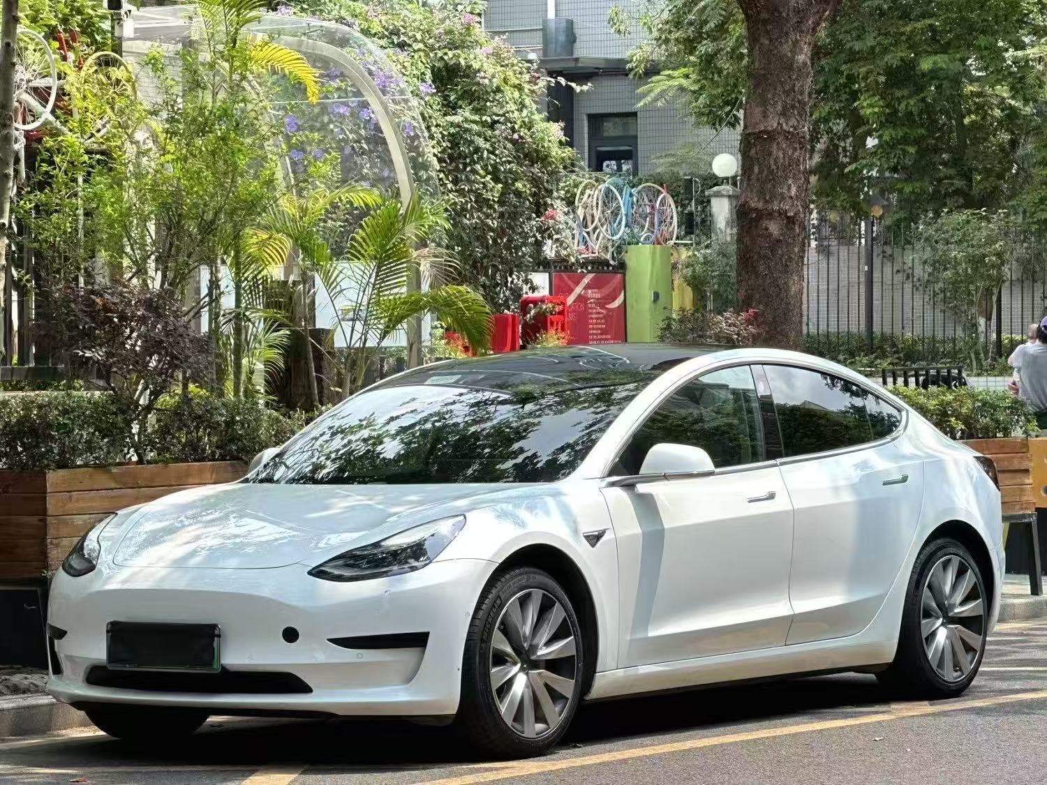 Tesla Model 3 (Imported) 2019 Tesla Model 3 (Imported) 2019 car image