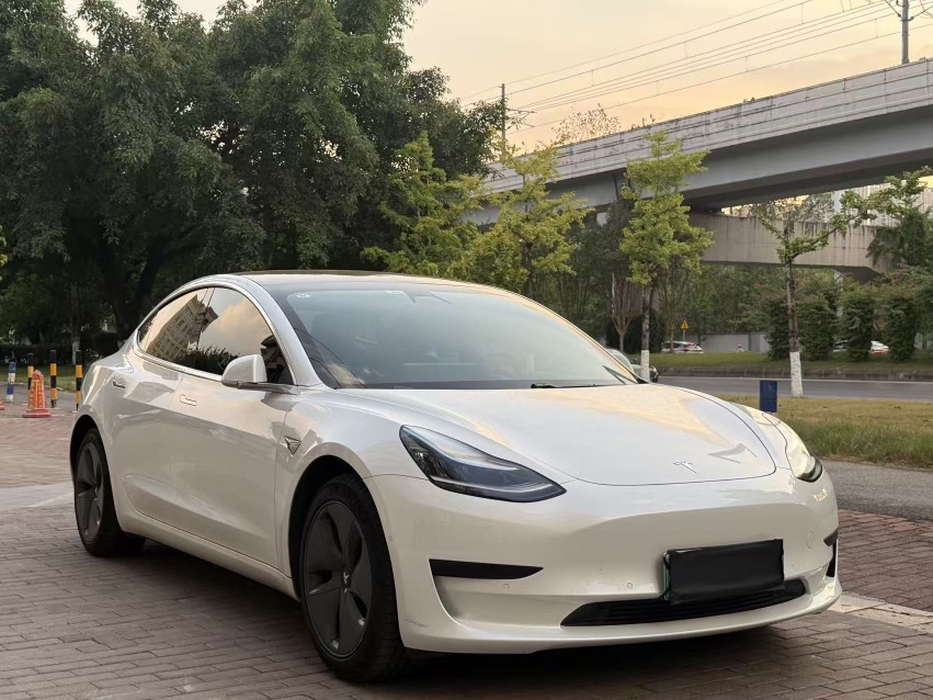Tesla Model 3 2020 #3 Tesla Model 3 2020 car image #3