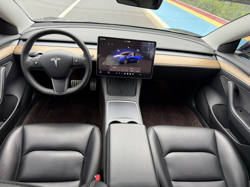Tesla Model 3 2022 car image #6