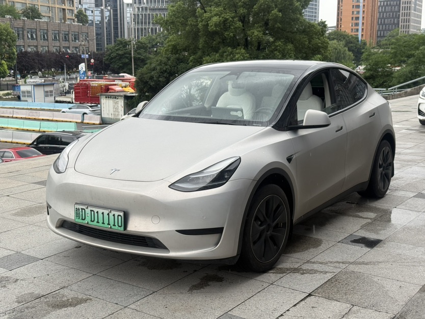 Tesla Model Y 2022 Tesla Model Y 2022 car image