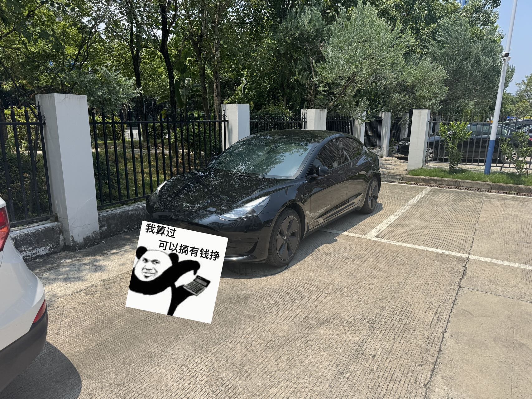 Tesla Model 3 2023 car image 