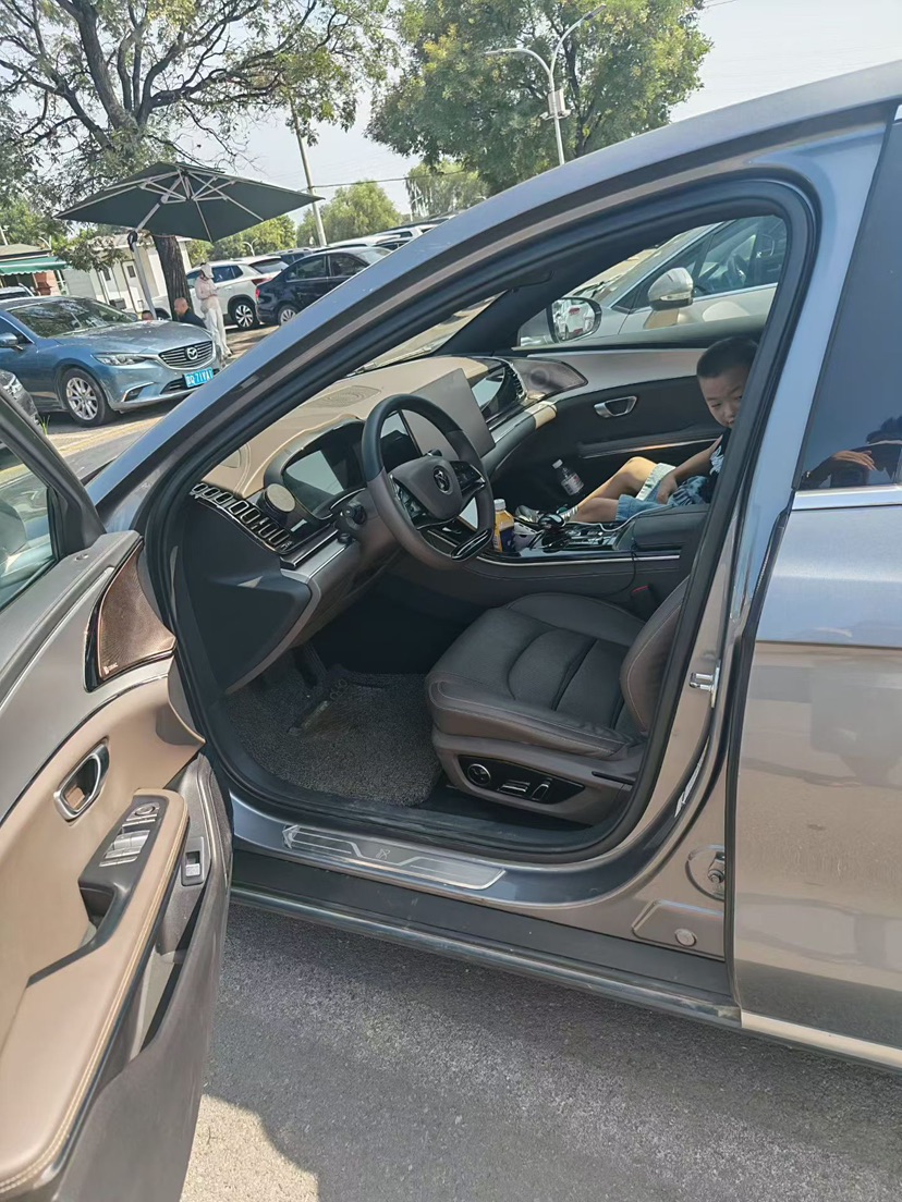 BYD Han 2021 car image #8
