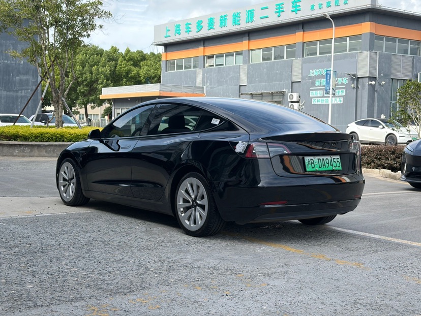 Tesla Model 3 2021 car image #6