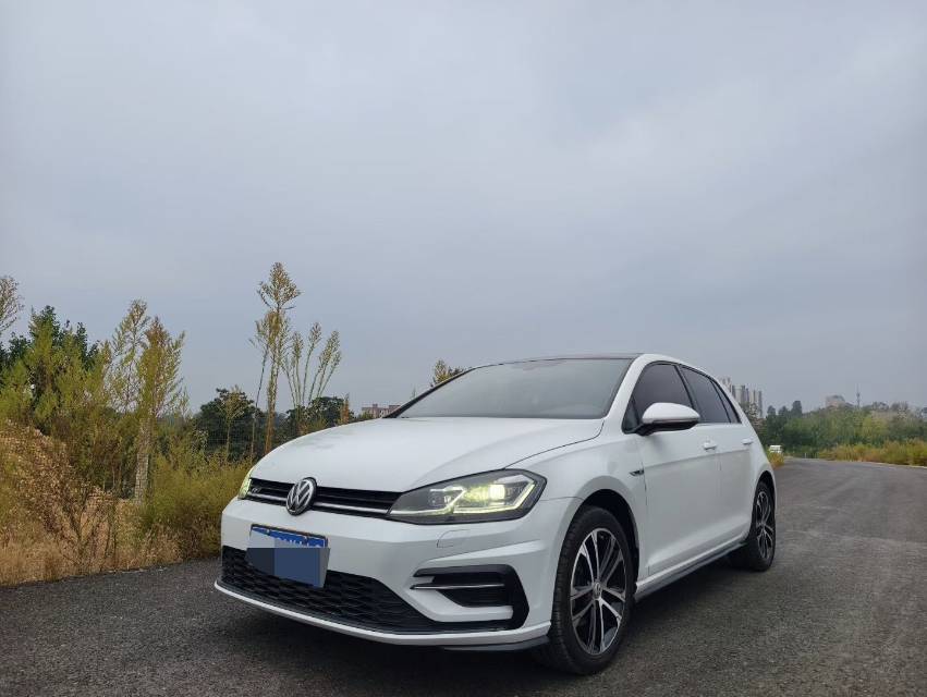 Volkswagen Golf 2019 car image #3
