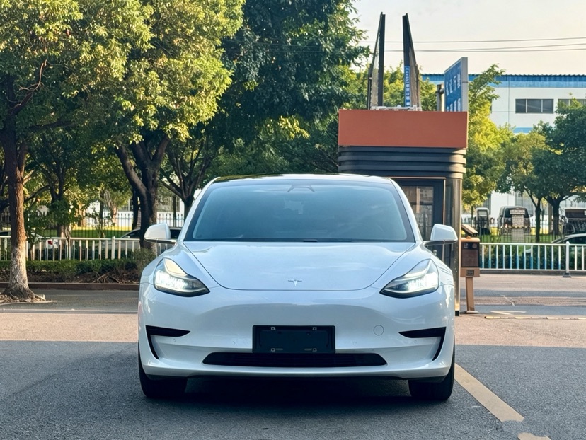 Tesla Model 3 2020 car image #2