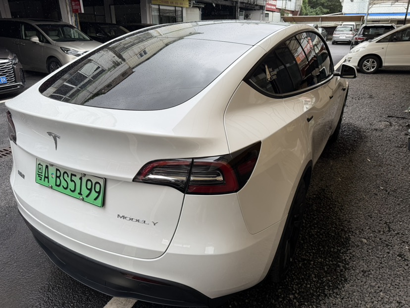 Tesla Model Y 2024 car image #6