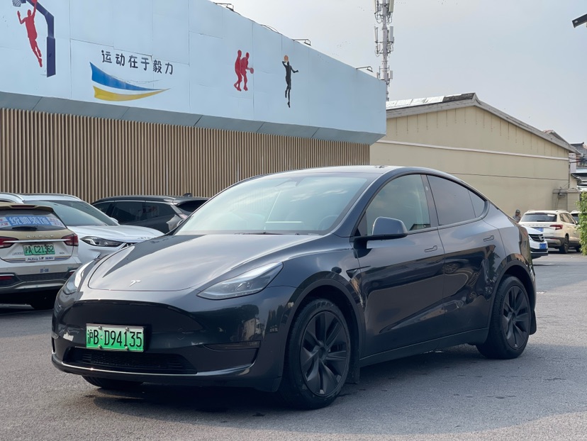 Tesla Model Y 2024 car image 