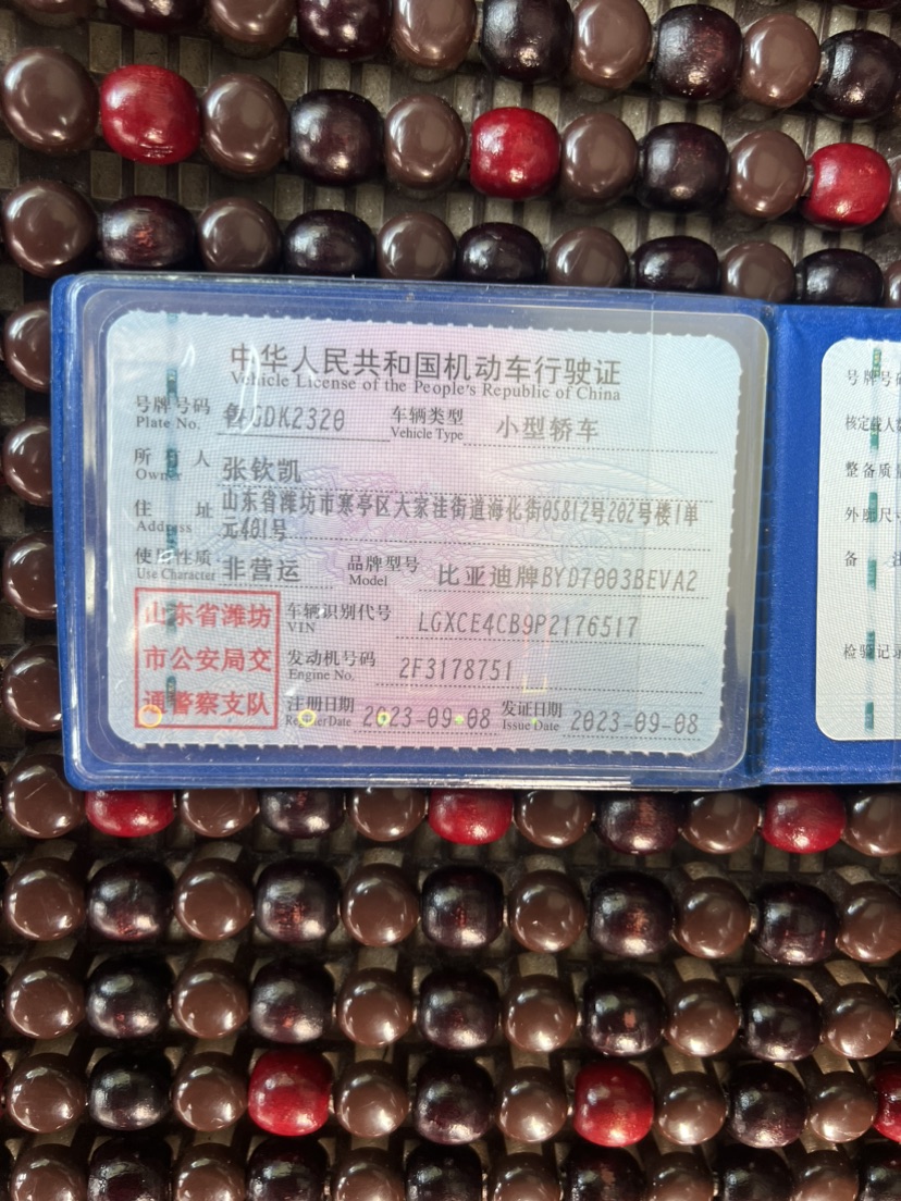 BYD Yuan Plus 2023 car image #7