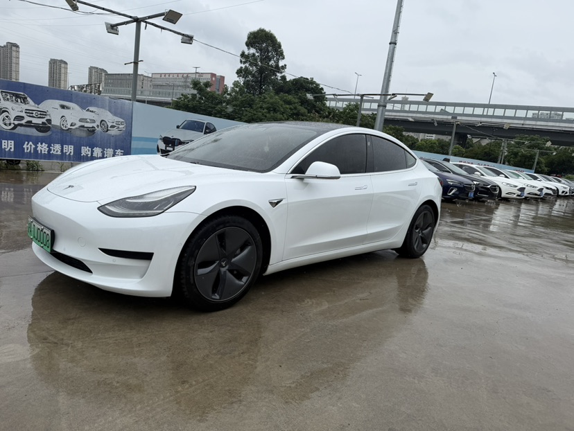 Tesla Model 3 2020 immagine di auto #3