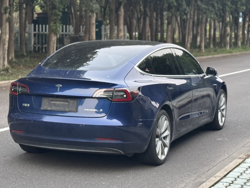 Tesla Model 3 2020 imagem de carro #8
