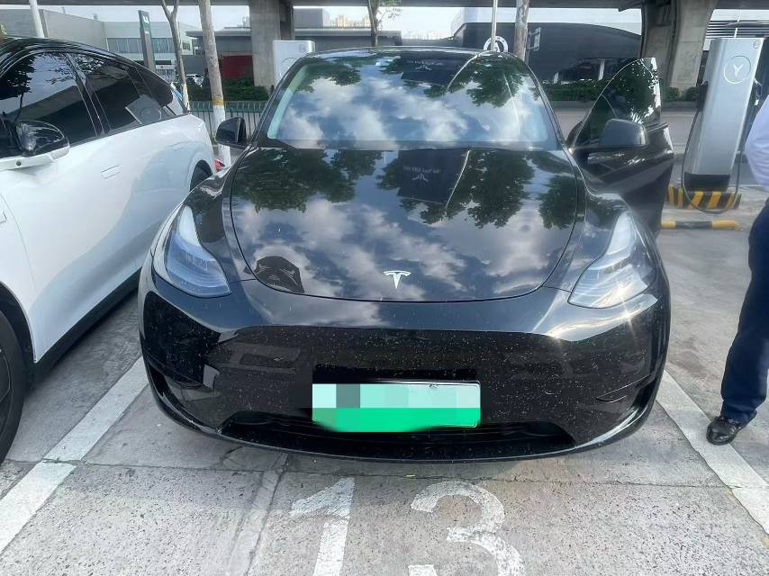 Tesla Model Y 2023 Tesla Model Y 2023 car image