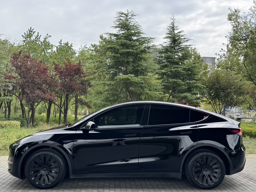 Tesla Model Y 2023 car image #5