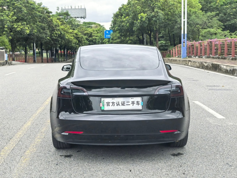 Tesla Model 3 2021 car image #8