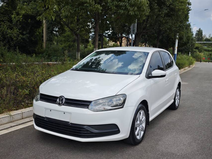 Volkswagen Polo 2014 car image 