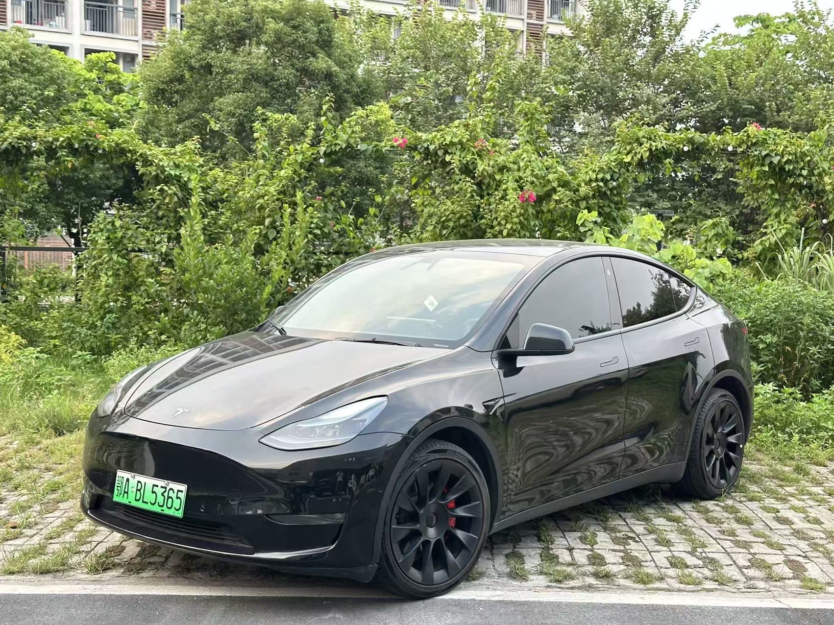 Tesla Model Y 2022 car image 