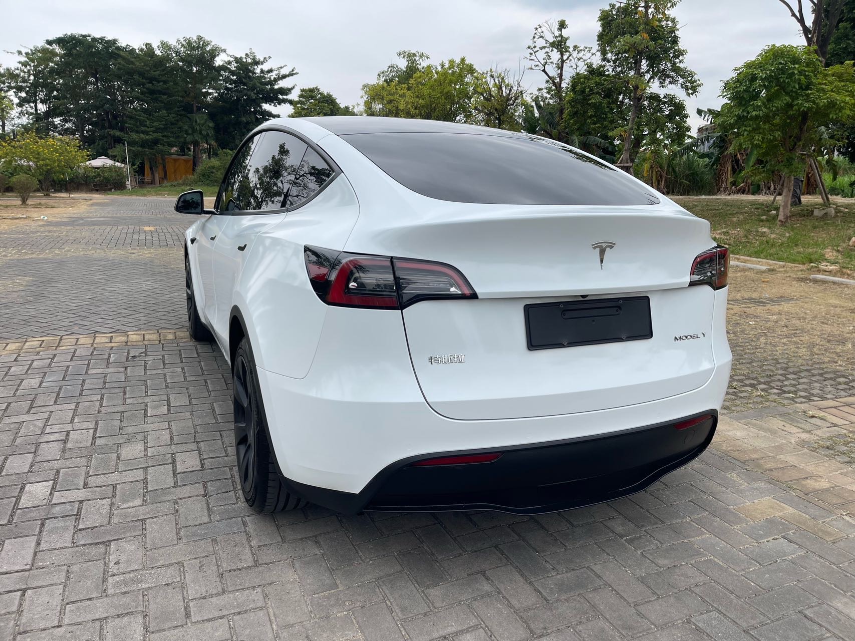 Tesla Model Y 2022 #14 Tesla Model Y 2022 car image #14