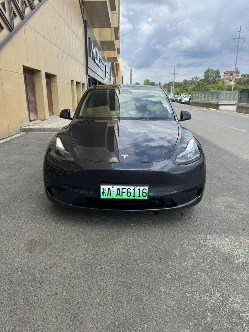 Tesla Model Y 2025 car image #2