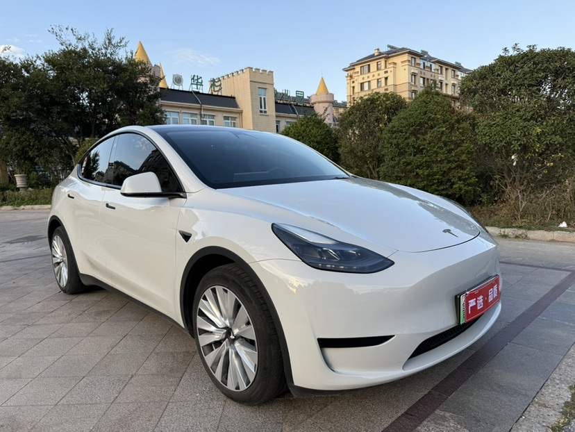 Tesla Model Y 2022 #3 Tesla Model Y 2022 car image #3